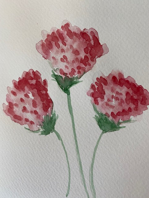 Handpainted watercolor cards - pink carnations